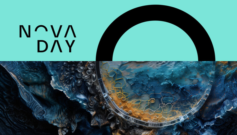A Year in Review: Highlights of 2024! NOVA Day