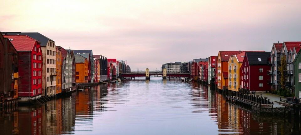 Nova Consulting Group inngår rammeavtale med Trondheim kommune
