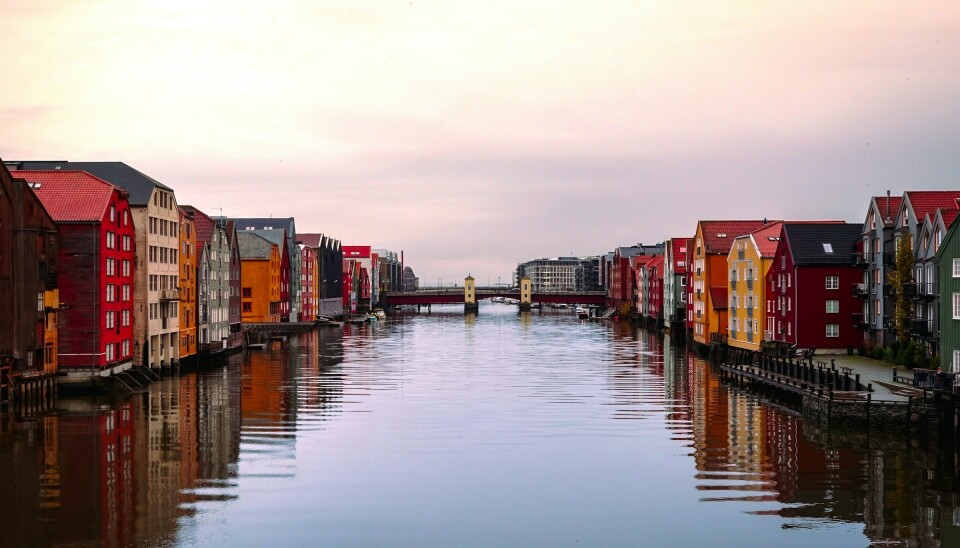 Nova Consulting Group inngår rammeavtale med Trondheim kommune Trondheim by